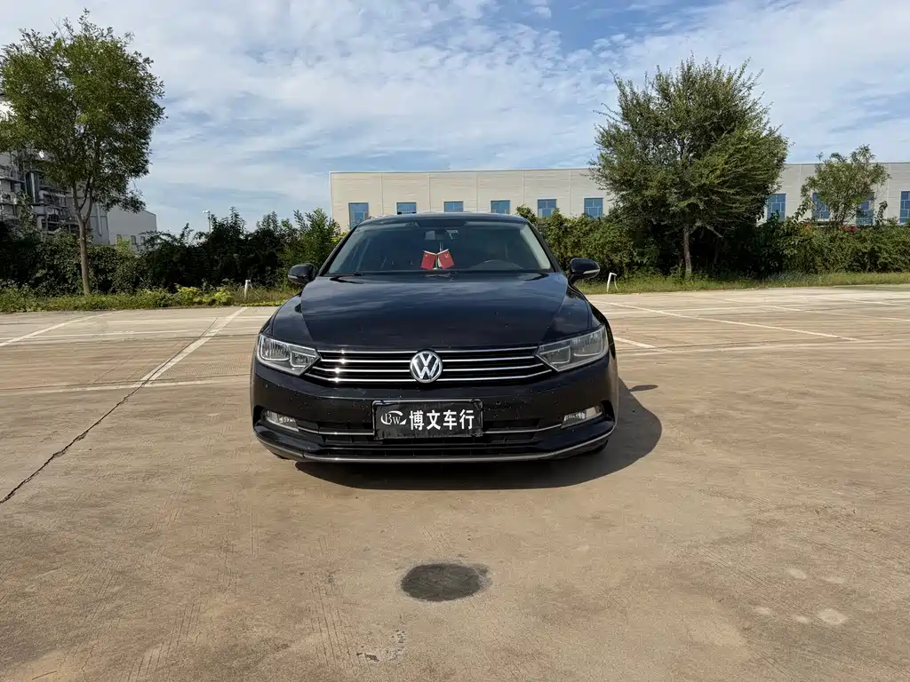 Volkswagen Magotan — миниатюра 2