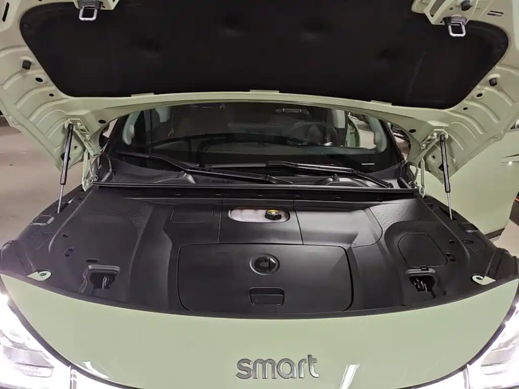 smart Smart #1 — миниатюра 23
