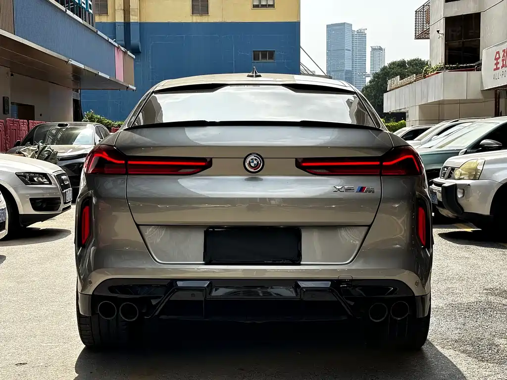 BMW X6 M