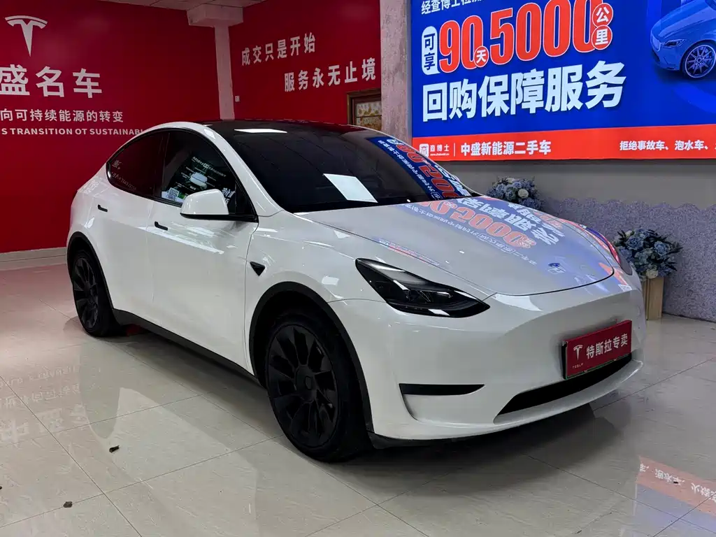 Tesla Model Y — миниатюра 3