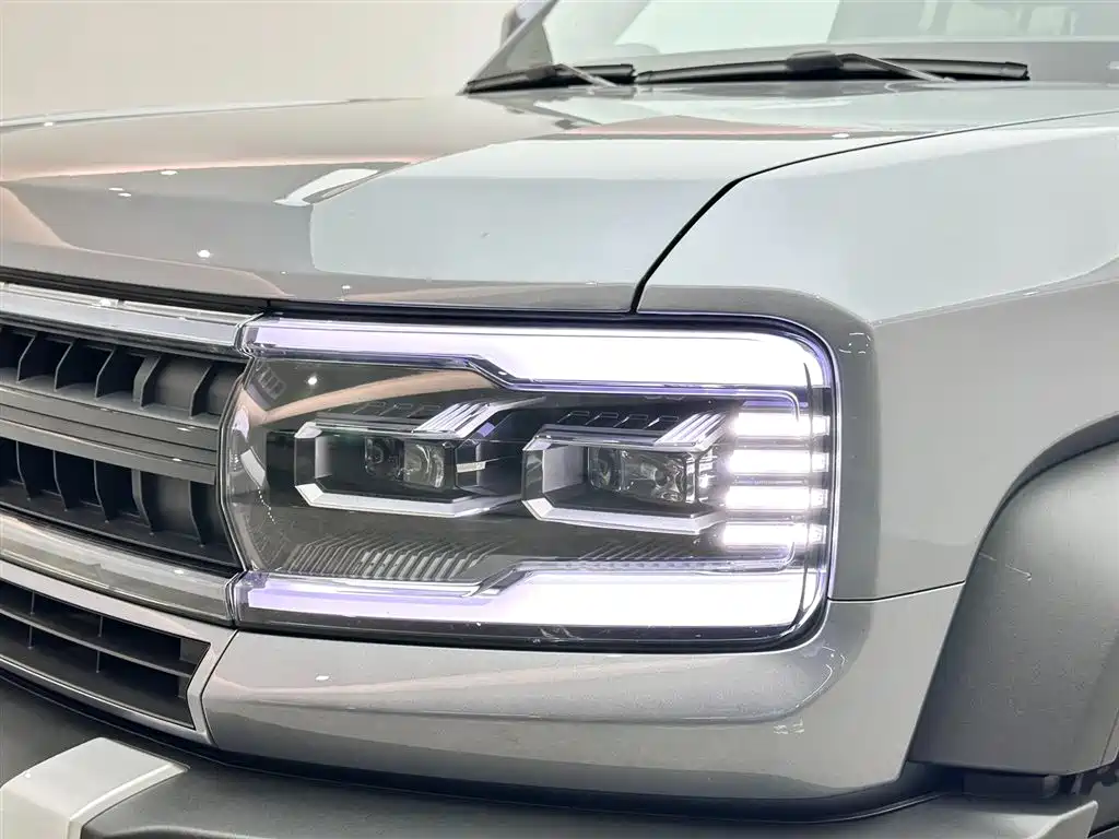 FANG CHENG BAO LEOPARD 5