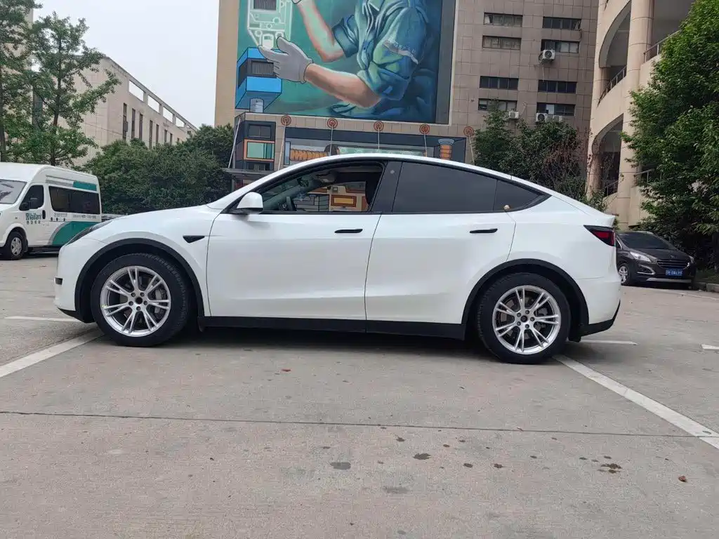 Tesla Model Y — миниатюра 20