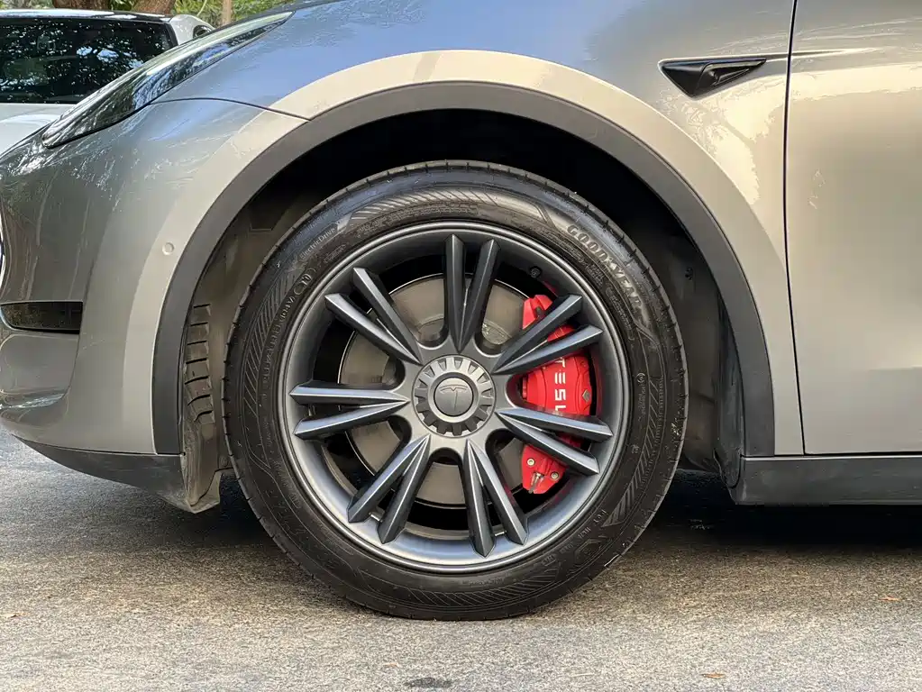 Tesla Model Y — миниатюра 10