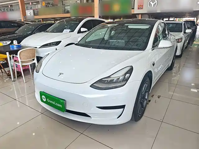 TESLA MODEL 3 2019