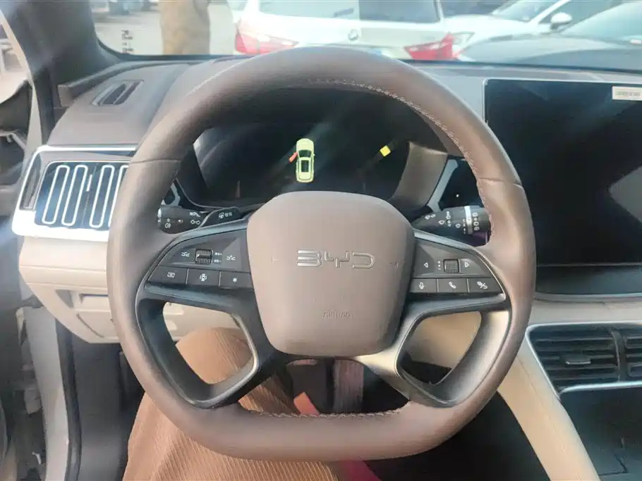 BYD SONGJIANG NEW ENERGY