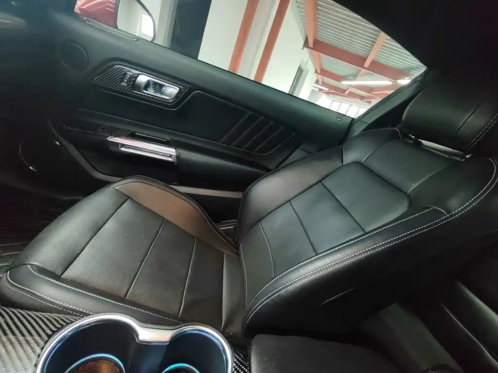 Ford Mustang — миниатюра 10