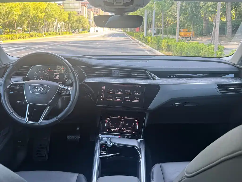 Audi e-tron (Import) — миниатюра 23
