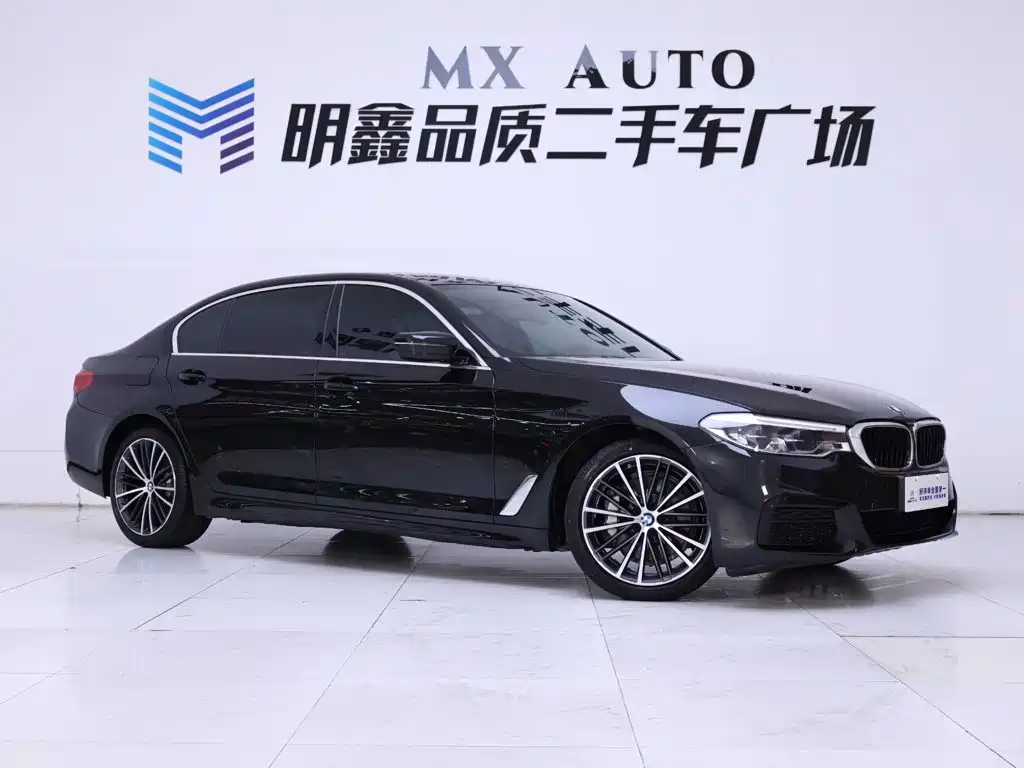 BMW 5 Series — миниатюра 5