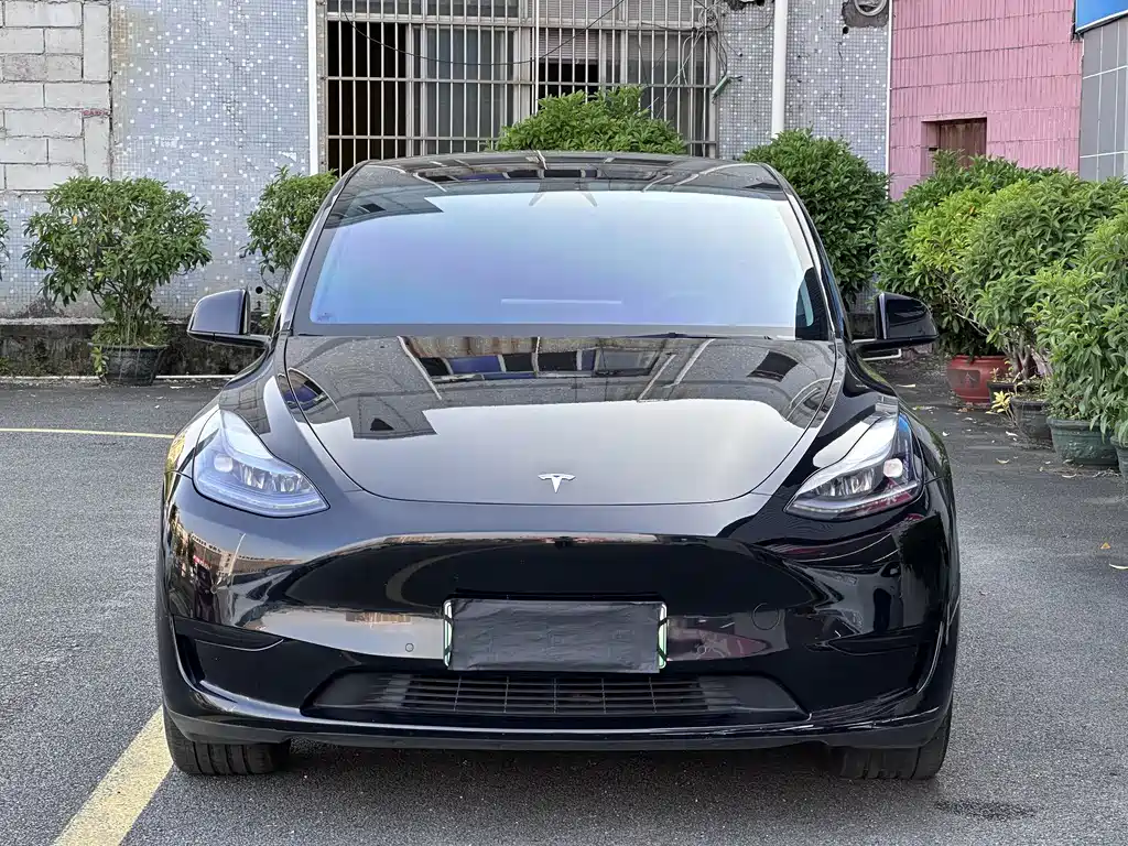 Tesla Model Y — миниатюра 2