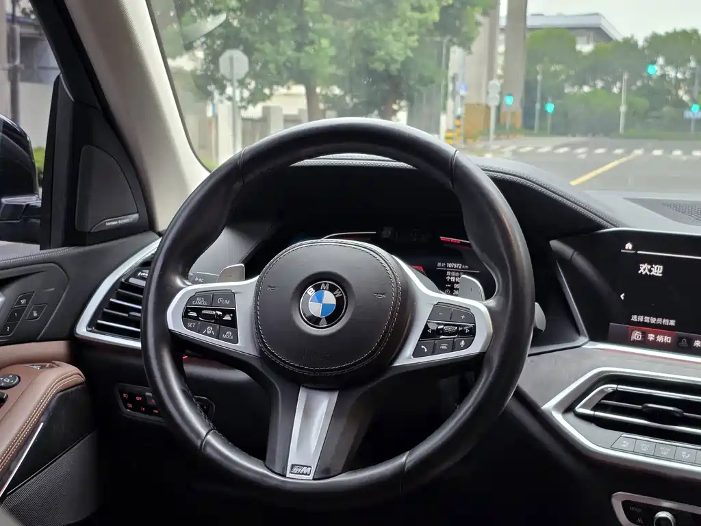 BMW X5 (Import) — миниатюра 8