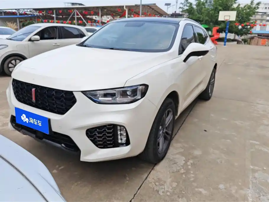 WEI PAI WEI BRAND VV5