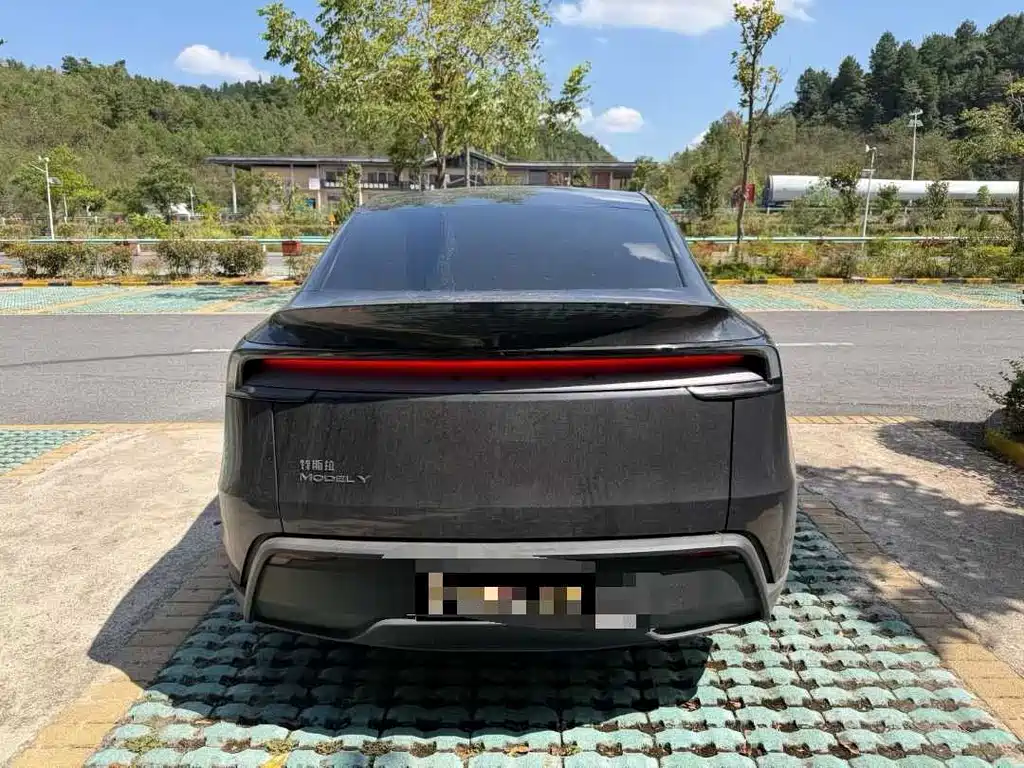 Tesla Model Y — миниатюра 4