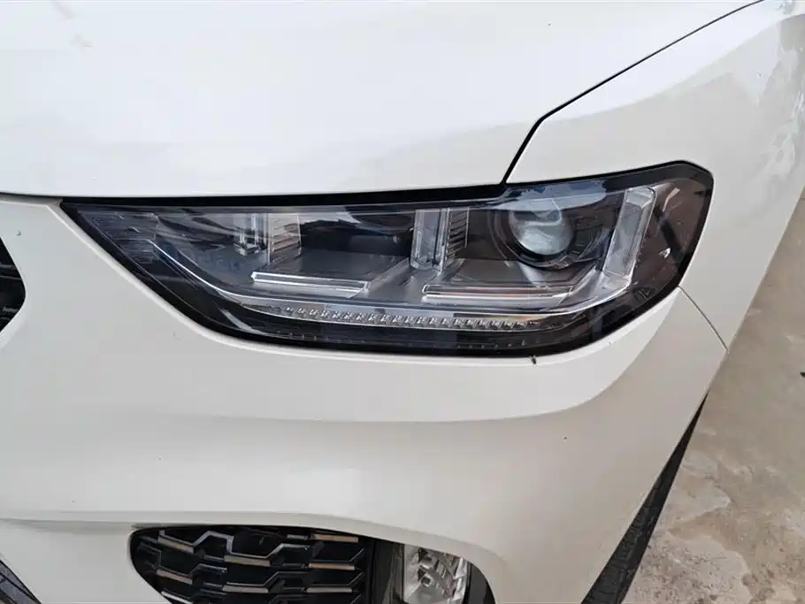 WEI PAI WEI BRAND VV5