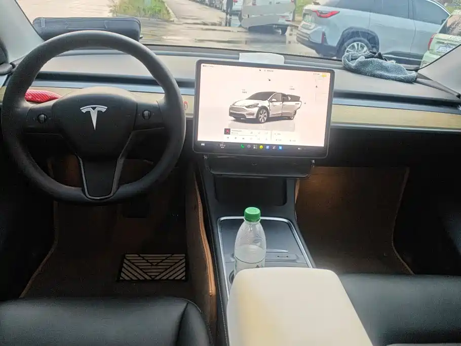 Tesla Model Y — миниатюра 12