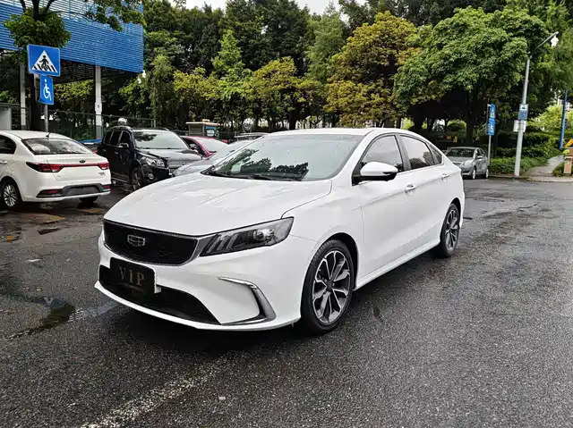 2021 Geely Binrui
