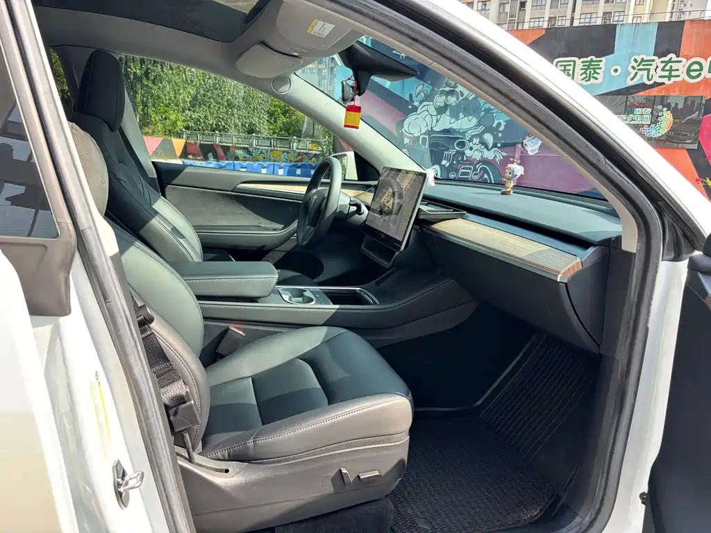 Tesla Model Y — миниатюра 15
