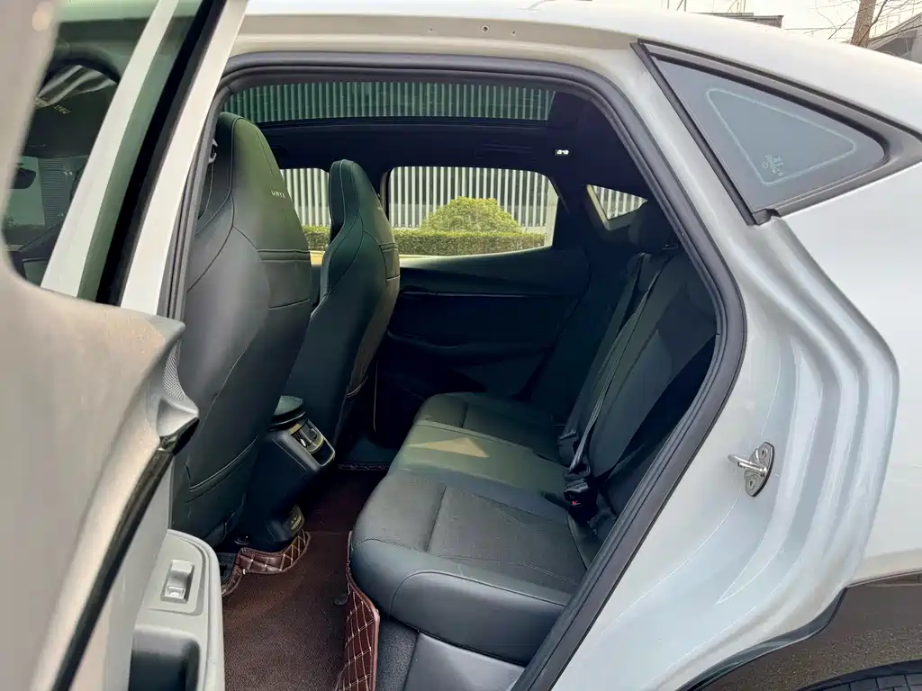 VOLKSWAGEN WITH THE CROWD 06