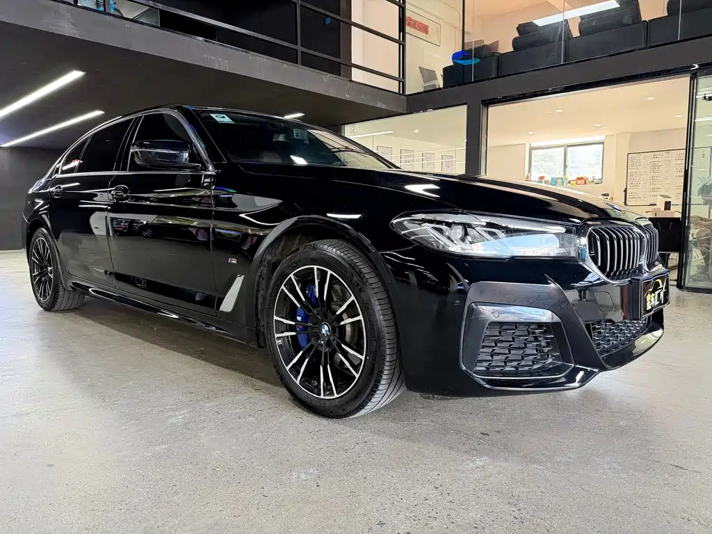 BMW 5 Series — миниатюра 3