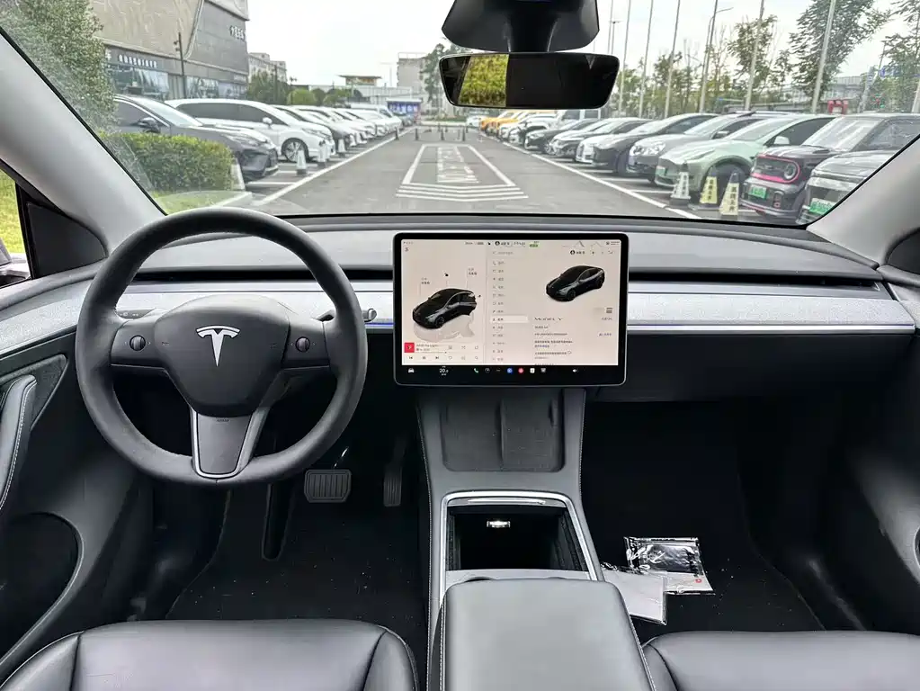 Tesla Model Y — миниатюра 3