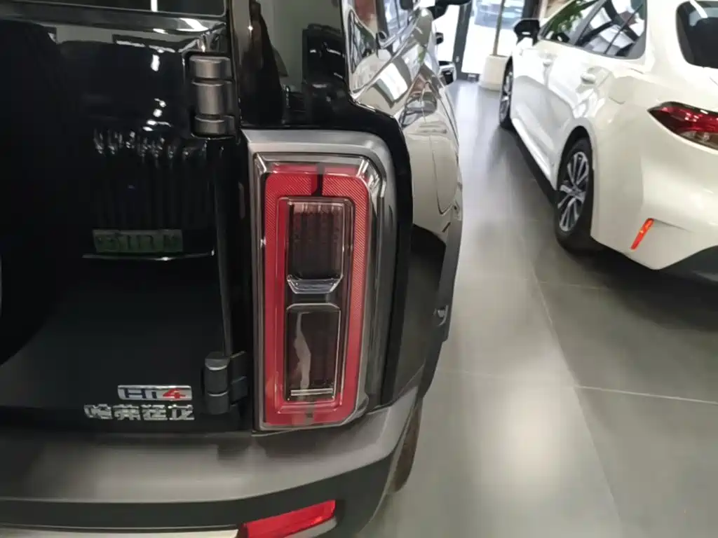 Haval Menglong New Energy — миниатюра 8