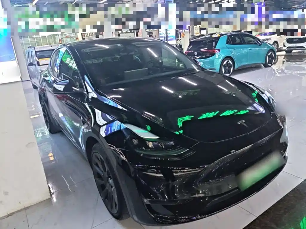 Tesla Model Y — миниатюра 4