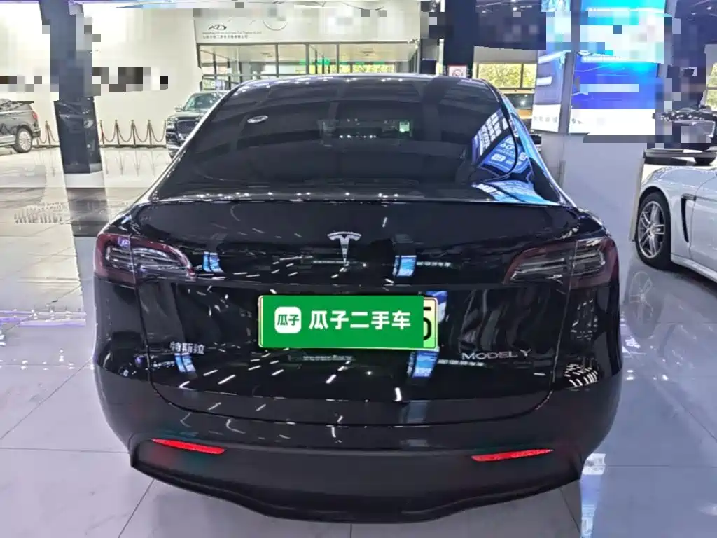 Tesla Model Y — миниатюра 6