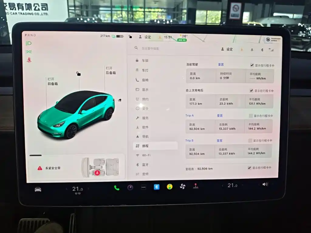 Tesla Model Y — миниатюра 12