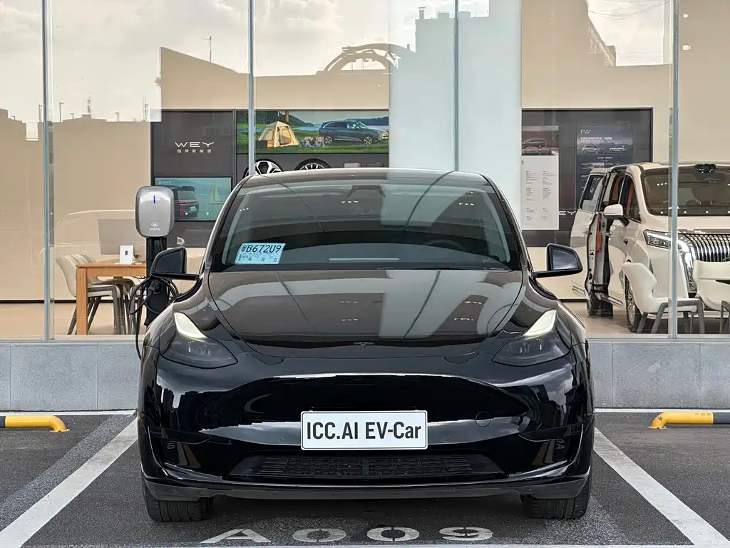 Tesla Model Y — миниатюра 2