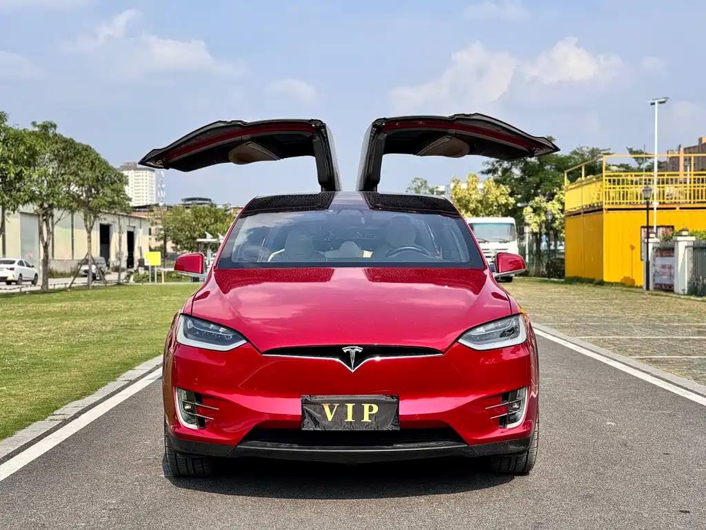 Tesla Model X — миниатюра 3