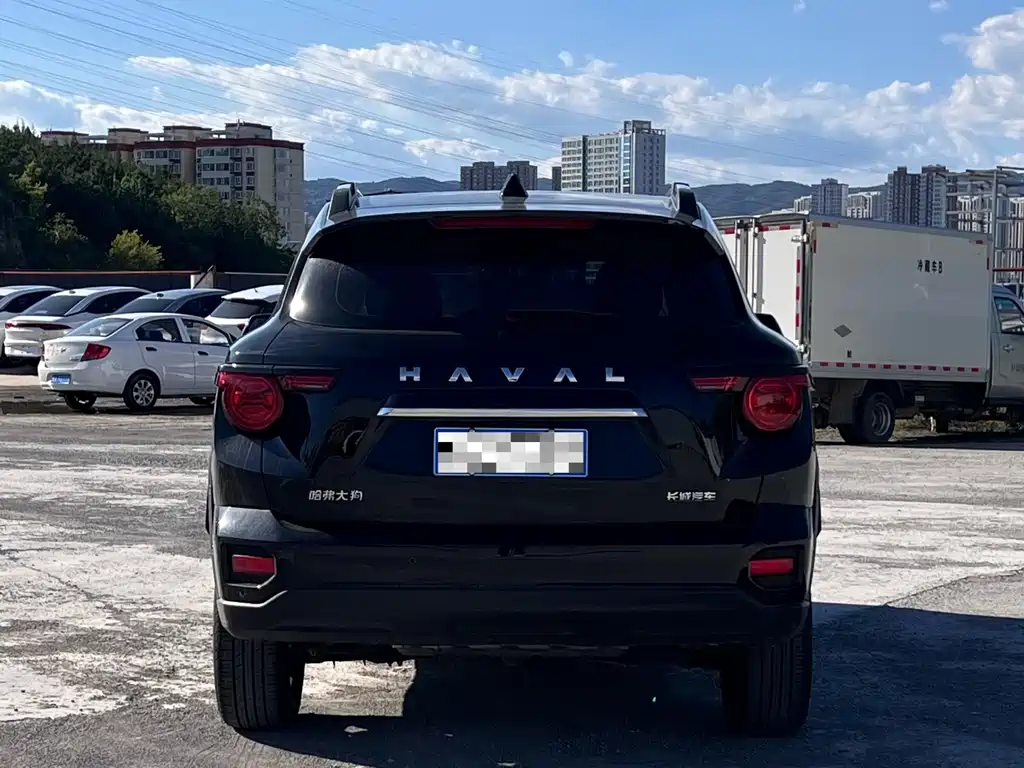 Haval Big Dog PLUS — миниатюра 5