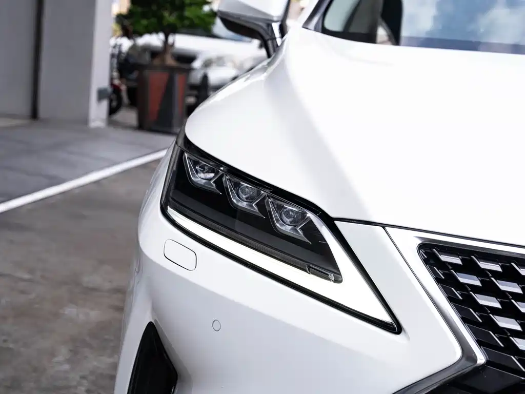 Lexus RX 2020 300 Elegant VI