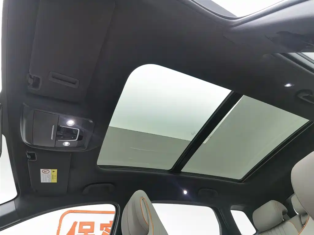 BYD SONGJIANG NEW ENERGY