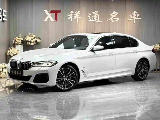 BMW 5-Series 2021 530 Li Leading M — фото 1