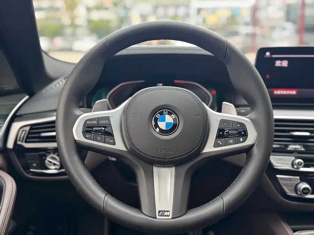 BMW 5 Series (Import) — миниатюра 10