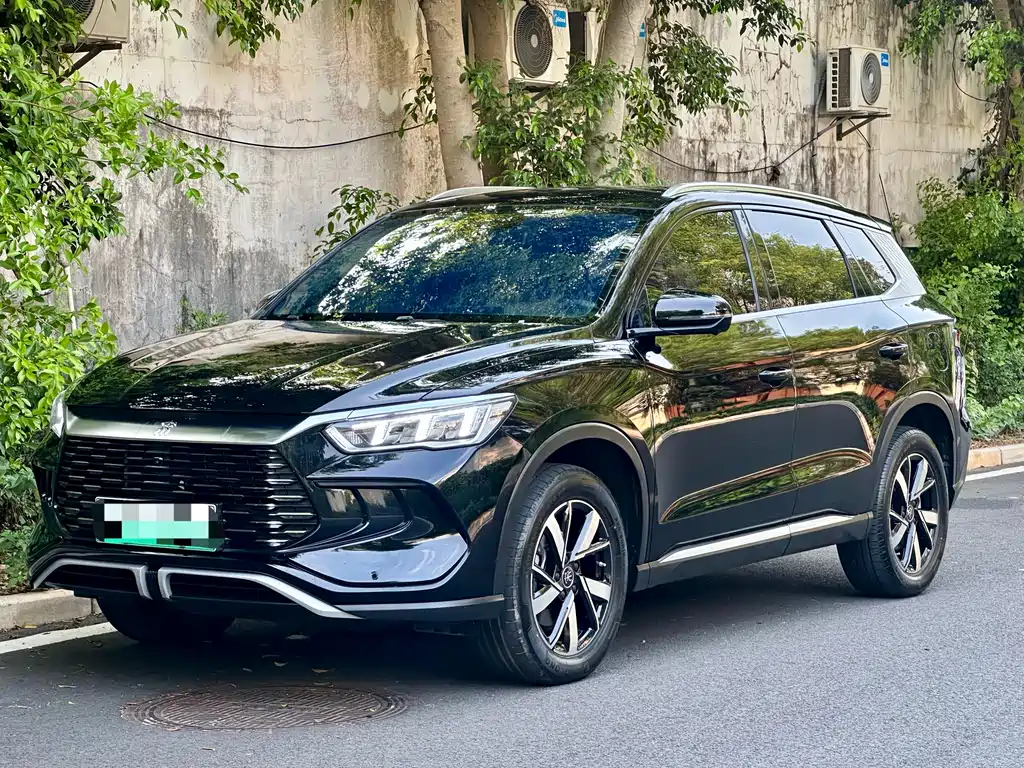 Byd Pro New Energy 2024