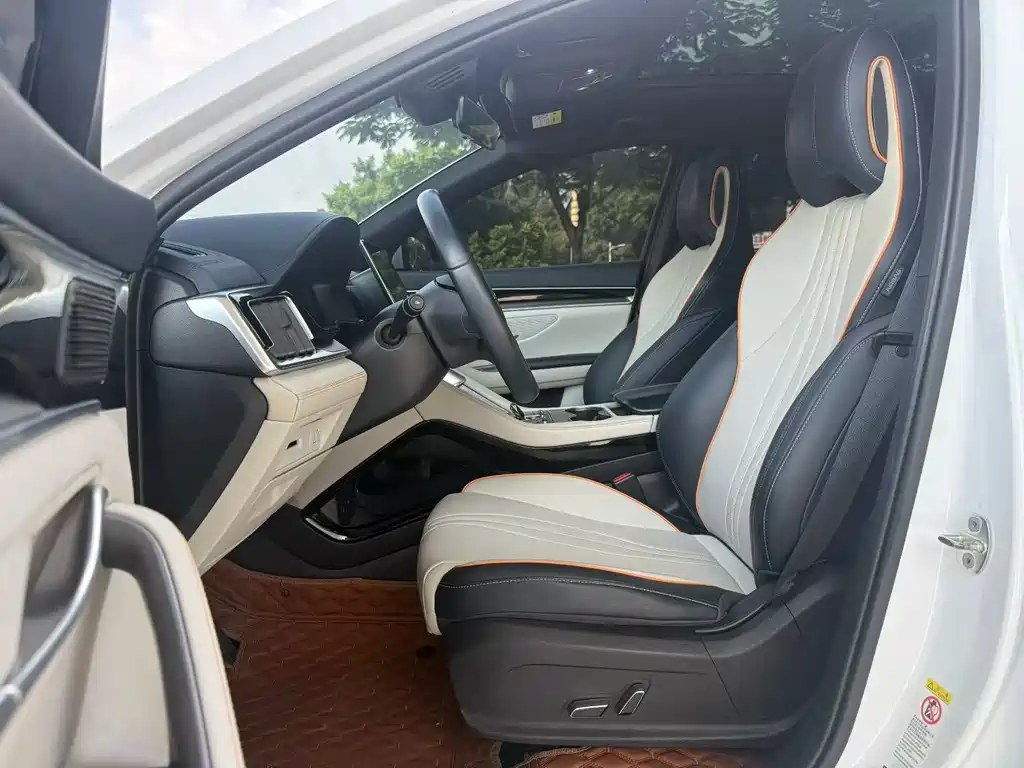 BYD PLUS New Energy — миниатюра 4