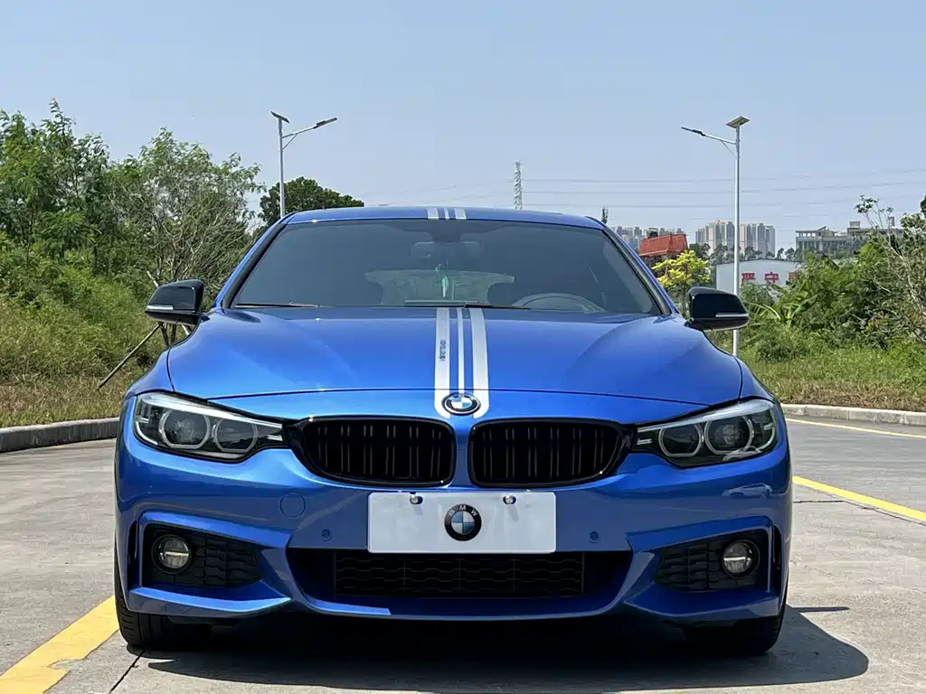 BMW 4 Series — миниатюра 4