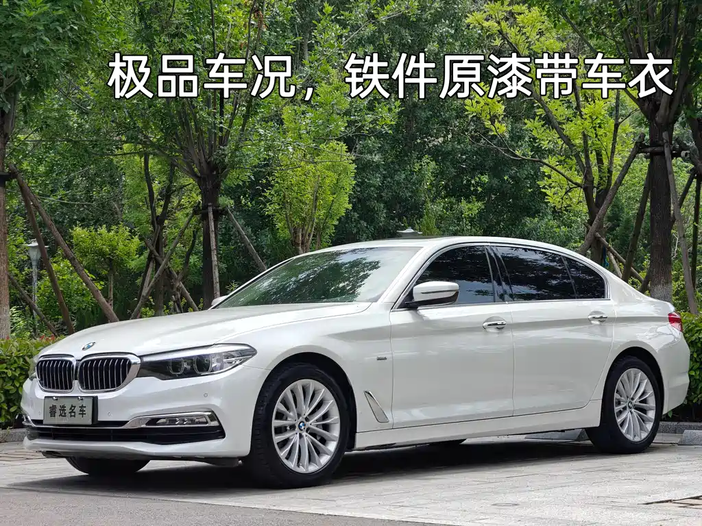 BMW 5 Series 2018 Facelift 530Li xDrive Luxury Package