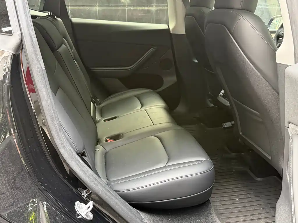 Tesla Model Y — миниатюра 6