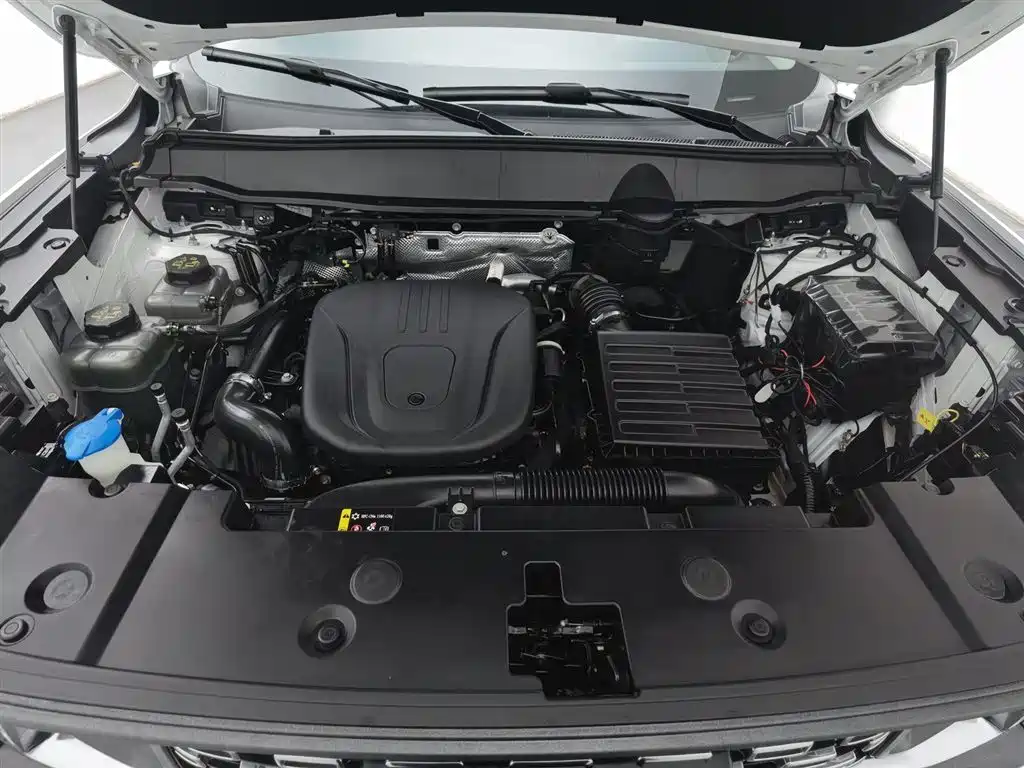 HAVAL SECOND GENERATION BIG DOG NEW ENERGY