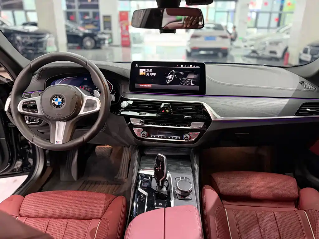 BMW 5 Series 5 2021 530Li Premium M Sport