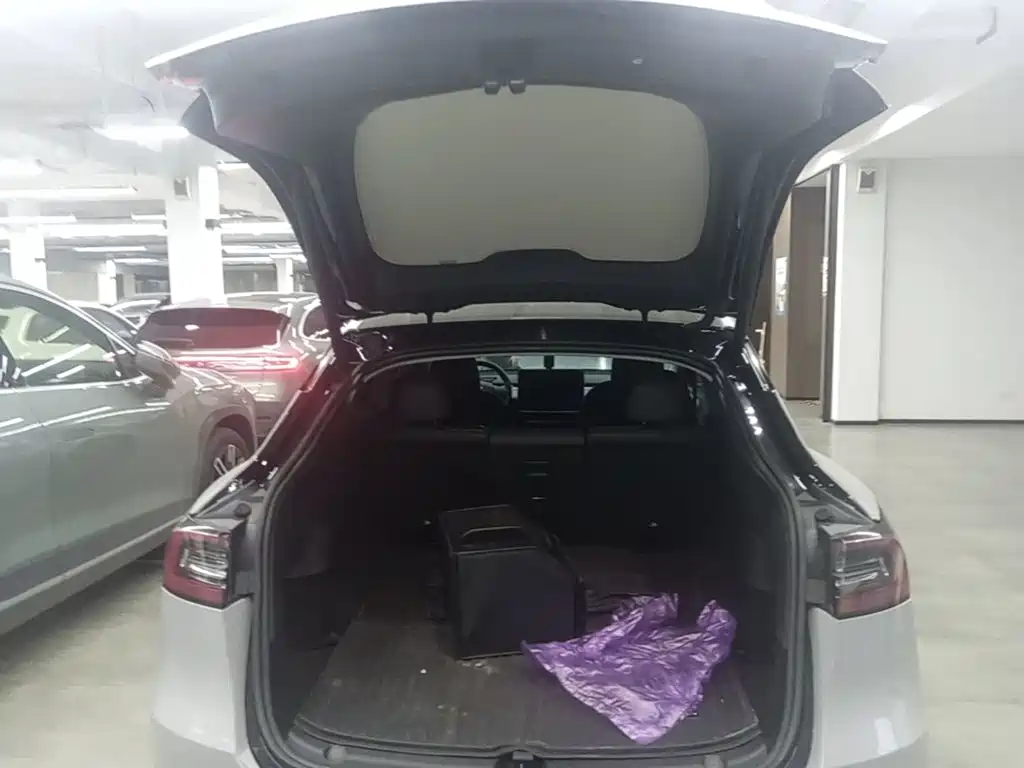 Tesla Model Y — миниатюра 19