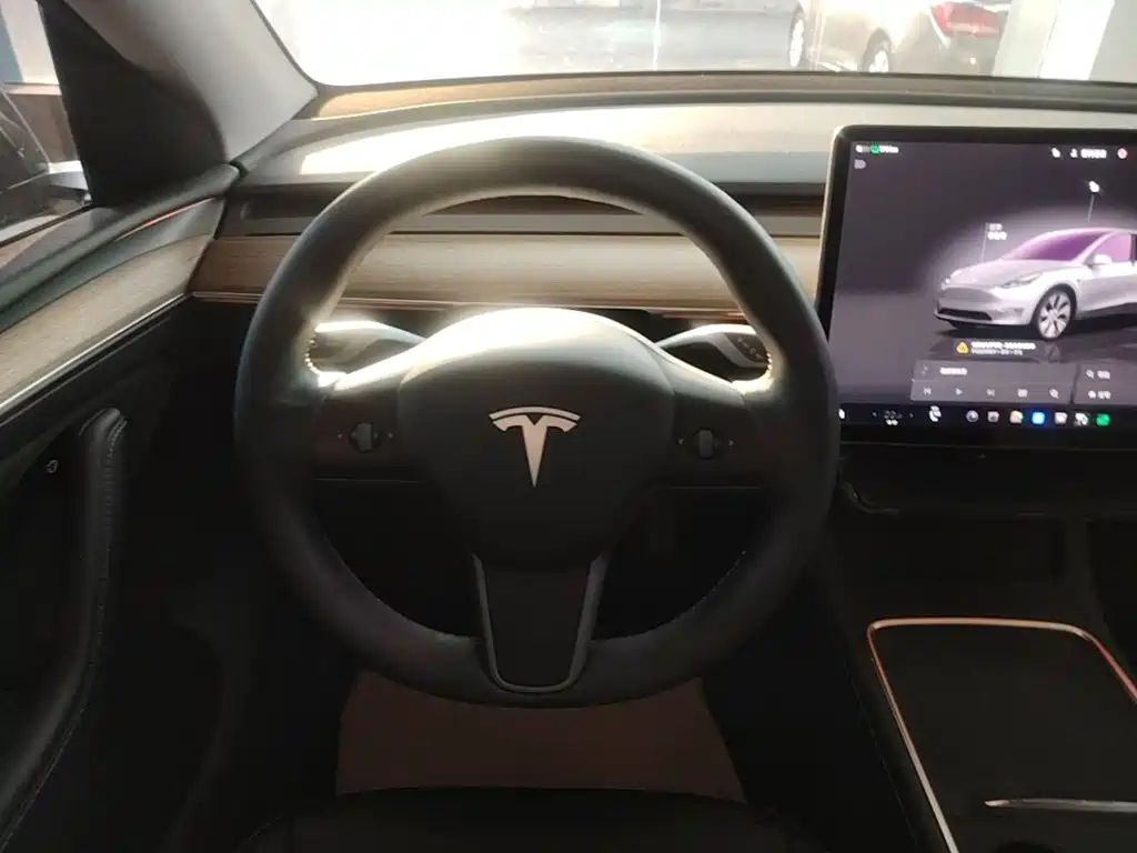 Tesla Model Y — миниатюра 11