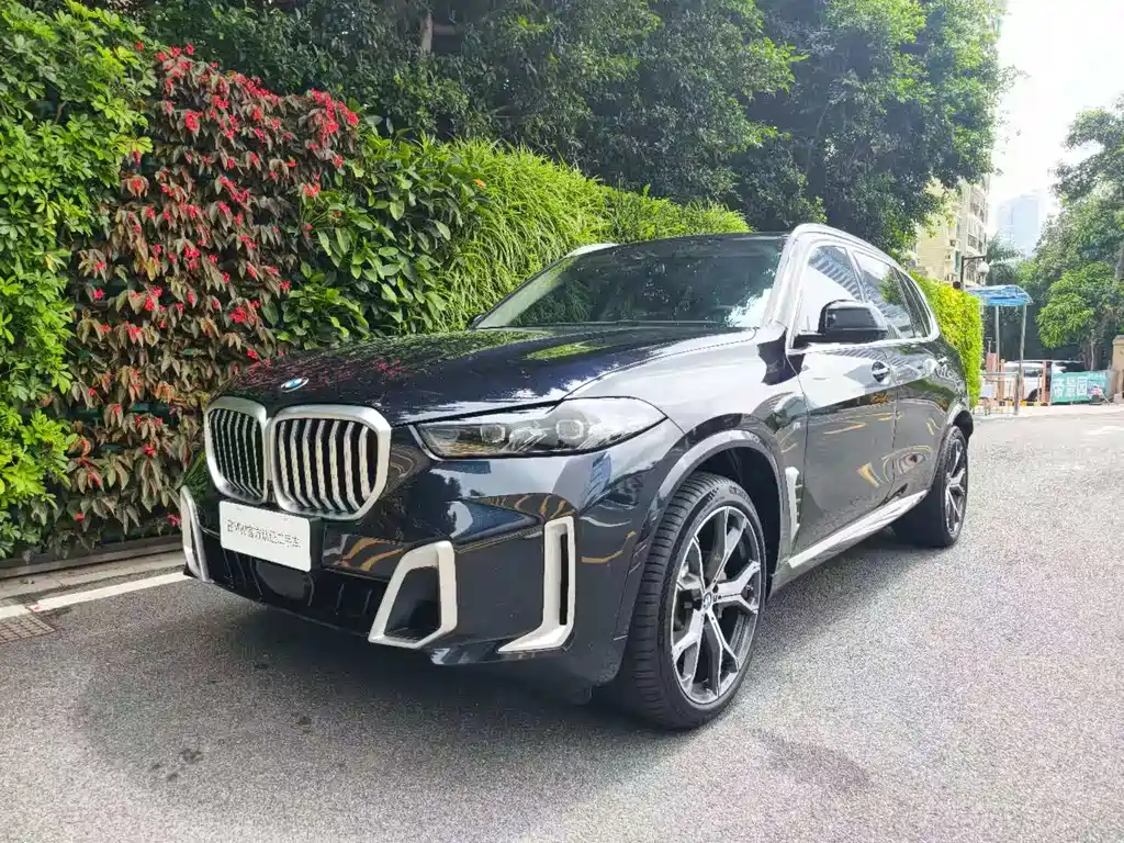 BMW X5 2024