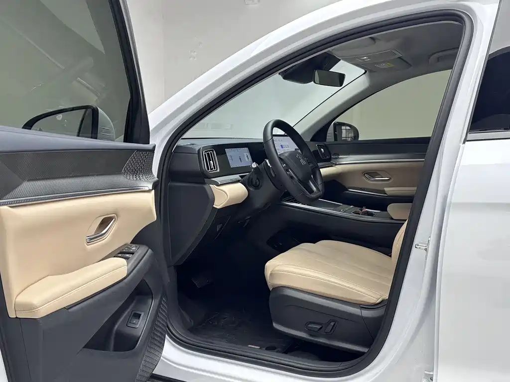 BYD SONGJIANG NEW ENERGY