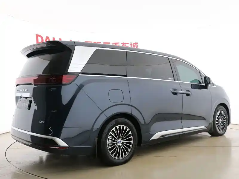 Denza Denza D9 — миниатюра 16