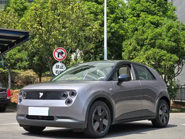 2025 Nio Firefly