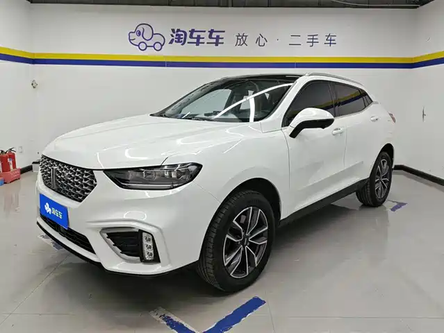 WEI PAI WEI BRAND VV5