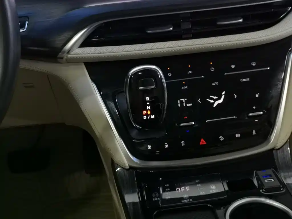 Buick GL8 — миниатюра 13