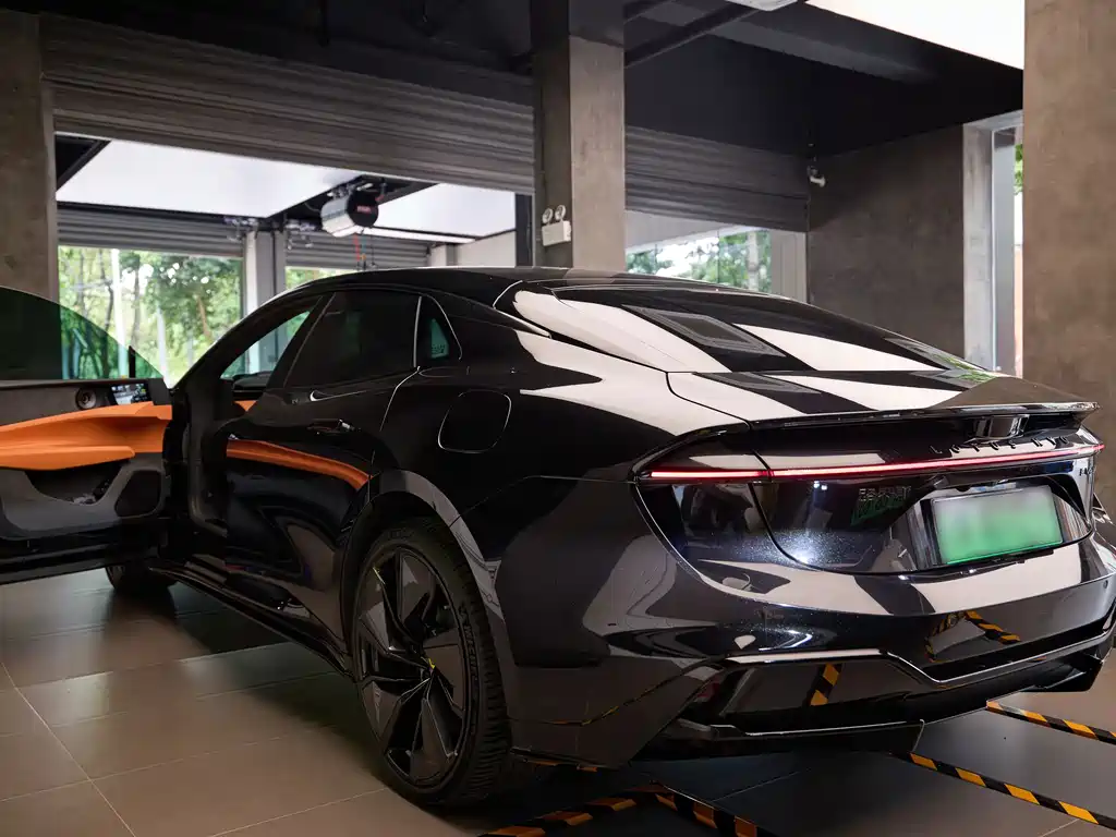 Lotus EMEYA — миниатюра 3